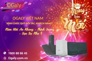 ogaly chúc mừng năm mới