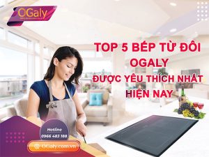 thiết bị nhà bếp ogaly