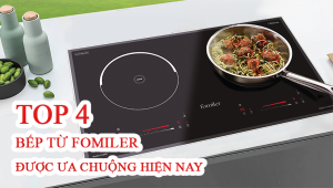 Bếp từ đôi fomiler